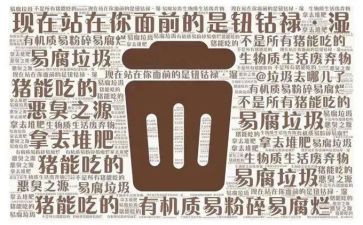 垃圾分类活动心得体会7篇