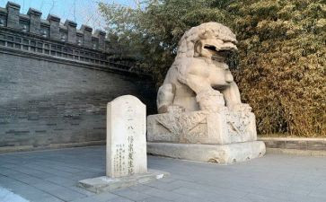 刘和珍作文800字优质7篇