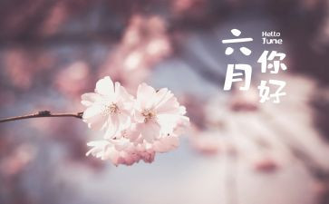 六月的总结报告5篇