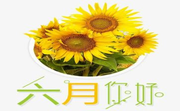 幼儿园大班六月份工作计划8篇