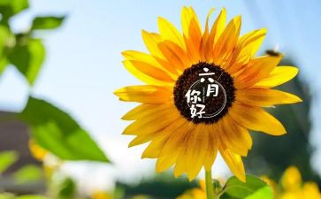 托小班六月份工作总结8篇
