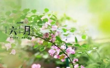 六月份工作总结5篇