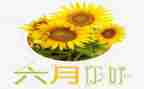 幼儿园三到六月份工作计划8篇