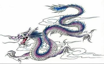 龙应台读后感参考6篇