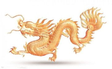 有关龙的教案8篇