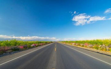 成长路上的____作文600字精选8篇