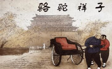 2023骆驼祥子心得体会6篇