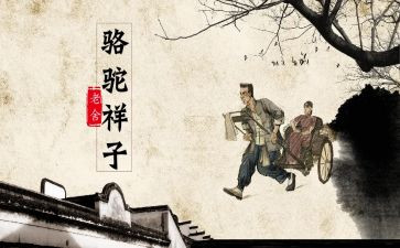 2023骆驼祥子心得体会8篇
