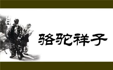 初一骆驼祥子心得体会6篇