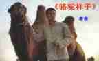 骆驼祥子1~24章心得体会8篇