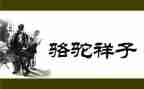 初一骆驼祥子心得体会6篇