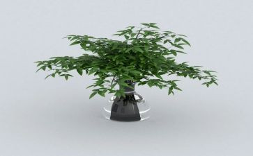 绿色家庭事迹范文6篇