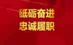 述职报告和履职报告6篇