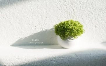 慢病科工作计划5篇