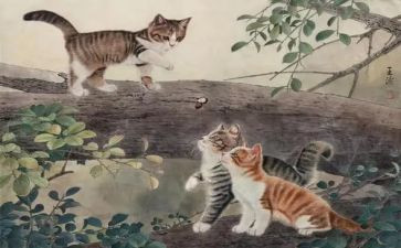 勒以的猫读后感500字通用7篇