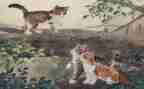 勒以的猫读后感500字通用7篇