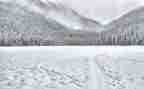 冬季除雪心得最新5篇