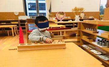 蒙氏数学学习心得体会通用7篇