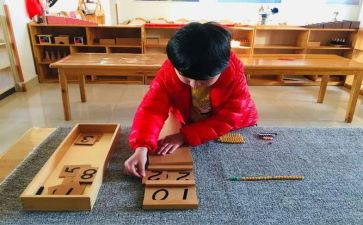 九的排列蒙氏教案7篇