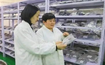 蒙医职称述职报告参考7篇