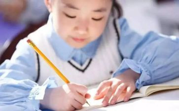 预防小学生沉迷网络教育活动方案5篇