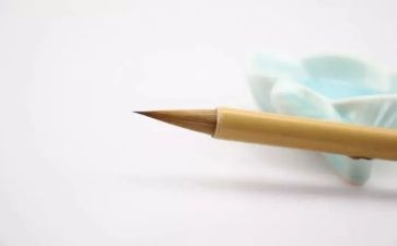 预防学生沉迷网络教育活动方案7篇