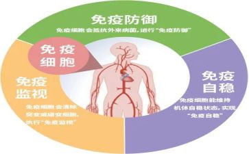 检验免疫自我鉴定7篇