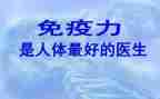 免疫规划的工作总结6篇