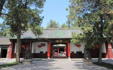 逛庙会活动总结6篇
