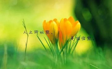 写名人演讲稿8篇