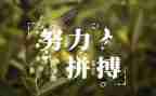 名人心得体会800字8篇