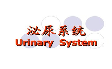 泌尿外科护士年终总结5篇