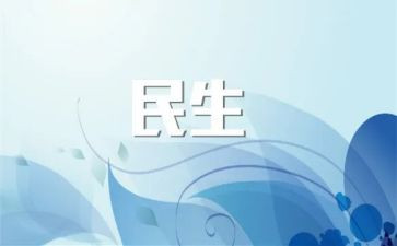 2024年村民生工作总结5篇