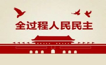 民主评议的总结报告6篇
