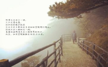 目送读后感优秀7篇
