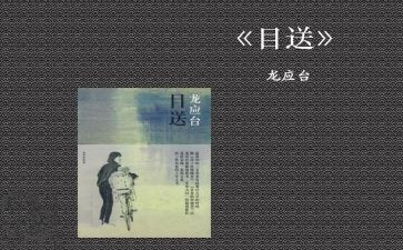 目送读后感6篇