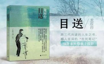 目送读后感最新6篇