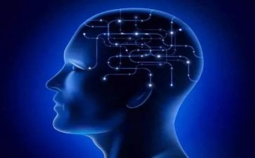 脑的训练心得体会最新5篇