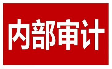 2024内审工作总结8篇