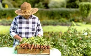 被骗的农夫读后感8篇