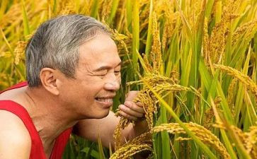 被骗的农夫读后感优秀7篇