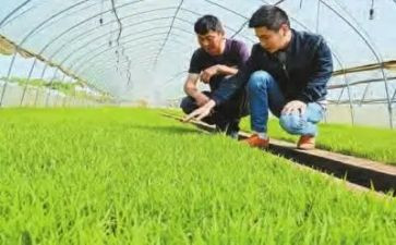 乡农技站年度工作总结8篇