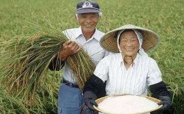 农民伯伯作文8篇
