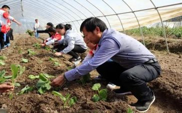 农艺师述职报告7篇