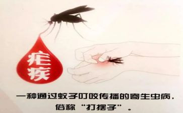2024年疟疾日宣传活动总结5篇