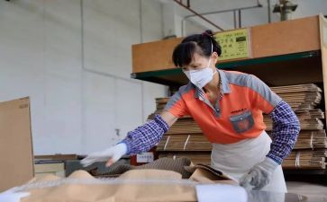 妇女工作计划计划8篇