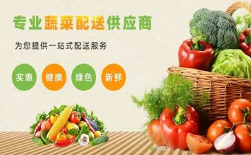 2024年配送班工作总结范文5篇