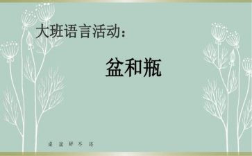 语言盆和瓶教案反思5篇