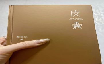 皮囊读后感7篇