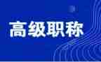 评高级工程师职称工作总结7篇